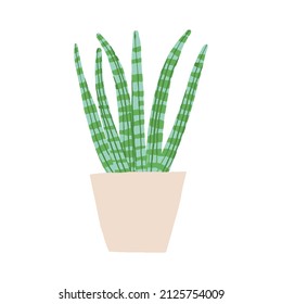Indoor potted snake plant cylindrical illustration