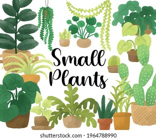 Indoor Small Water color Green cactus, Plants, and trees, in vector design