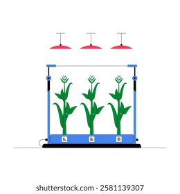 Indoor Smart Farming System With Corn Plants And LED Growth Lights, Flat Vector Illustration About Vertical Farming, Sustainable Agriculture, Modern Agritech, Isolated On White Background