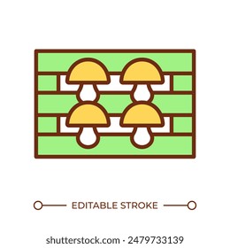 Indoor trays RGB color icon. Indoor mushroom cultivation. Farming techniques. Vertical farming. Fungiculture. Isolated vector illustration. Simple filled line drawing. Editable stroke