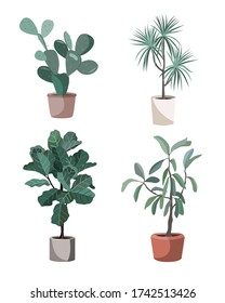 Indoor trendy houseplants vector. Potted home plants illustration. Stylish greenery in pots for the flat design interior decoration. Ficus Lyrata, prickly pear, dracaena