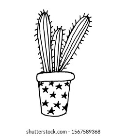 Indoor vector flower cactus painted in one line style black on white background