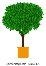 Indoor/outdoor tree - Ficus in pot - Vector