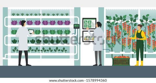 Indoors hydroponics\
vertical farming with workers checking plants and harvesting, smart\
agriculture concept