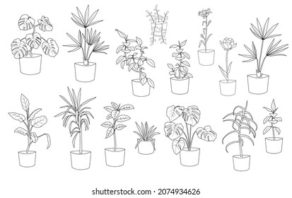  Indoors  plant sketch,  pen line. Collection silhouette beautiful ornamental plants in pots  for garden and home,  ficus, aloe, Yucca, monstera, black color isolated on white. Vector illustration 