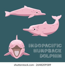 Ilustração do vetor de desenhos animados de golfinhos jubarte do Indo-Pacífico