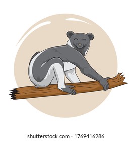 Indri Lemur Cartoon Madagaskar Animals Illustration