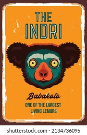 Indri monkey primate vector illustration, perfect for poster and tshirt design