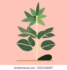 Indulge in a leafy delight with this serene image, capturing the essence of fresh green foliage in its purest form.