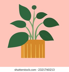 Indulge in a leafy delight with this serene image, capturing the essence of fresh green foliage in its purest form.