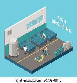 Industrial commercial seafood fish breeding aquaculture facility interior isometric view personnel checking fish breeding tanks vector illustration