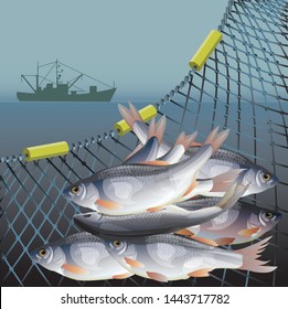 Afiche de pesca industrial con peces en redes y buques pesqueros. Ilustración del vector