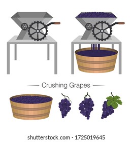 Industrial grape crusher is in operation and empty. Wooden tank full of berries. Bunches of black grapes. Set of flat vector cartoon isolated objects, icons on a white background