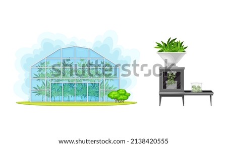 Industrial hemp cultivation and processing set vector illustration