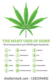 Industrial Hemp Infographic with Icons of Products. Vector Illustration. The Many Uses of Cannabis