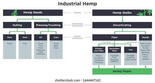 Industrial Hemp Uses And Products Flowchart....