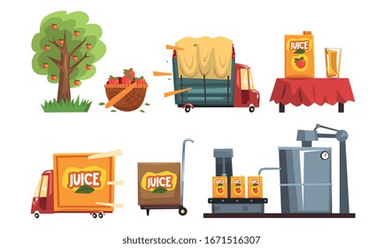 Industrial Production of Apple Juice, Production Stages from Orchard to Table Vector Illustration on White Background