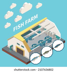 Industrial seafood fish farm indoor aquaculture facility isometric interior view with cutout roof wall sections vector illustration