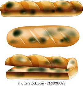 Inedible bread with mould illustration