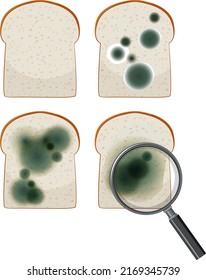 Inedible bread with mould illustration