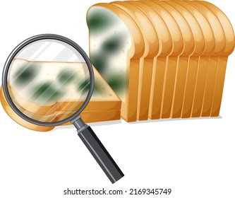 Inedible bread with mould illustration