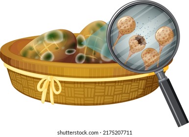 Inedible bread with mould illustration