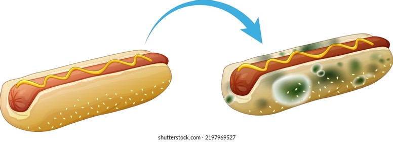 Inedible bread with mould illustration