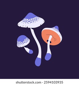 Inedible false parasol mushroom with patterned violet cap. Forest poisonous boletus. Colourful psychedelic fungus, hallucinogenic bolete. Venomous agaric, amanita. Flat isolated vector illustration