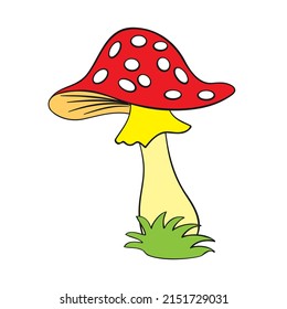 inedible fly agaric mushroom, drawing, vector, cartoon, on isolated background