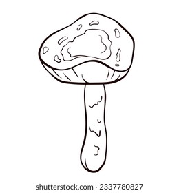 Inedible mushroom Deadly Dapperling black and white in line art style. Poisonous Lepiota brunneoincarnata hand drawn. Vector illustration isolated on a white background.
