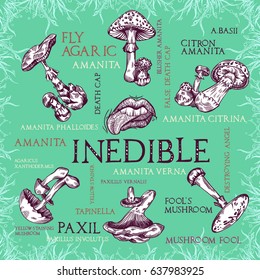 Inedible mushroom set with mouth and tongue in engraved style. Subscribed with several titles. Vector illustration with lettering.