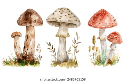 Inedible mushrooms black and white vector illustration. Poisonous toadstool fairy inedible mushrooms collection in hand drawn style. White toadstool, fly agaric or amanita isolated vector set.