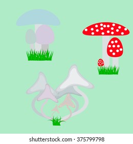inedible mushrooms of different kinds