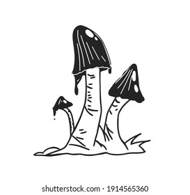 Inedible mushrooms or fungi with poisonous black caps on stalks. Dangerous deadly plant. Hand-drawn monochrome vector illustration isolated on white background.