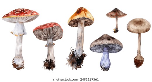 Inedible mushrooms vector illustration. Poisonous toadstool fairy inedible mushrooms collection in hand painted watercolor style. White toadstool, fly agaric or amanita isolated vector set.