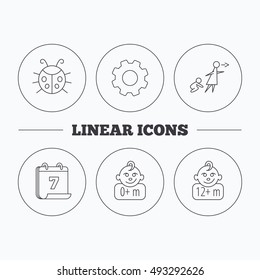 Infant child, ladybug and 0+ months child icons.