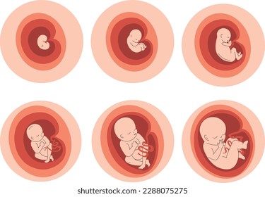 Kindersymbole gesetzt. Baby in der Gebärmutter. Vektorgrafik.