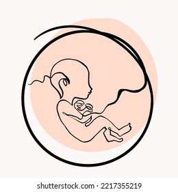 Infant in the womb, single line drawing, vector continuous line