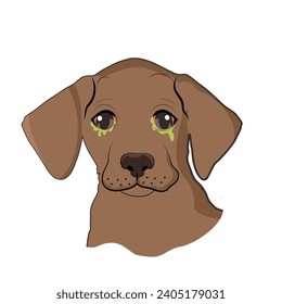 ojos de perro infectado. Inflamación de los ojos del perro. Ilustración veterinaria. Ilustración del vector