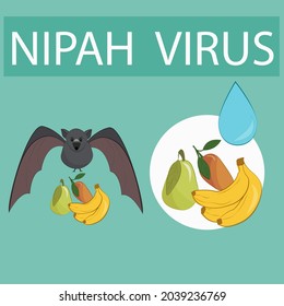 Infection caused by the nipah virus (niv), which is a dangerous virus transmitted by bats. You need to wash the fruit. Cleanliness is the key to health. Flat cartoon design. Set. 