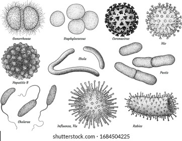 infectious bacteria and virus collection illustration, drawing, engraving, ink, line art, vector