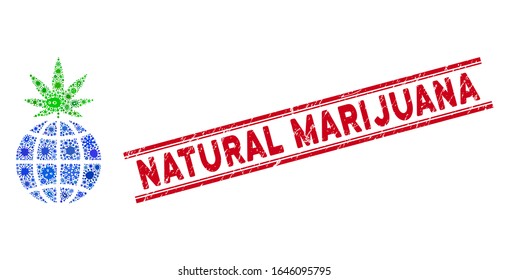 Icono del brote global de cannabis y sello rojo del sello natural de marihuana entre líneas paralelas dobles.