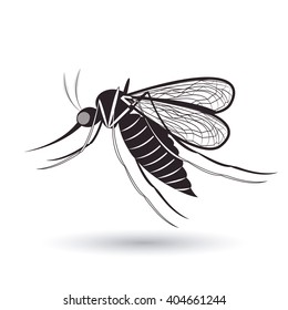 infectious gnat  design 