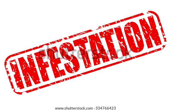 Infestation Red Stamp Text On White Stock Vector (Royalty Free ...