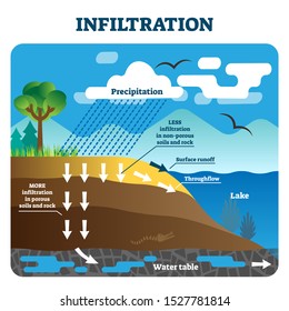 Infiltration vector illustration. Labeled natural precipitation water cleaning through underground soils, rocks and minerals. Scheme with earth climate scene. Educational geography climate circulation