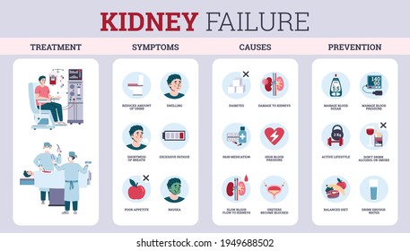 Inflammation Kidney Failure Symptoms Prevention Flat Stock Vector ...