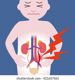 Inflammation of the urethra, human urinary organs, heart, kidney, bladder, vector illustration