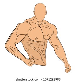 inflated body muscle man vector drawing illustration