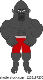 Inflated Gorilla Gym