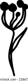 Inflorescence. Black and white sketch, logo, clipart. Vector illustration hand-drawn. Isolated object on a white background.